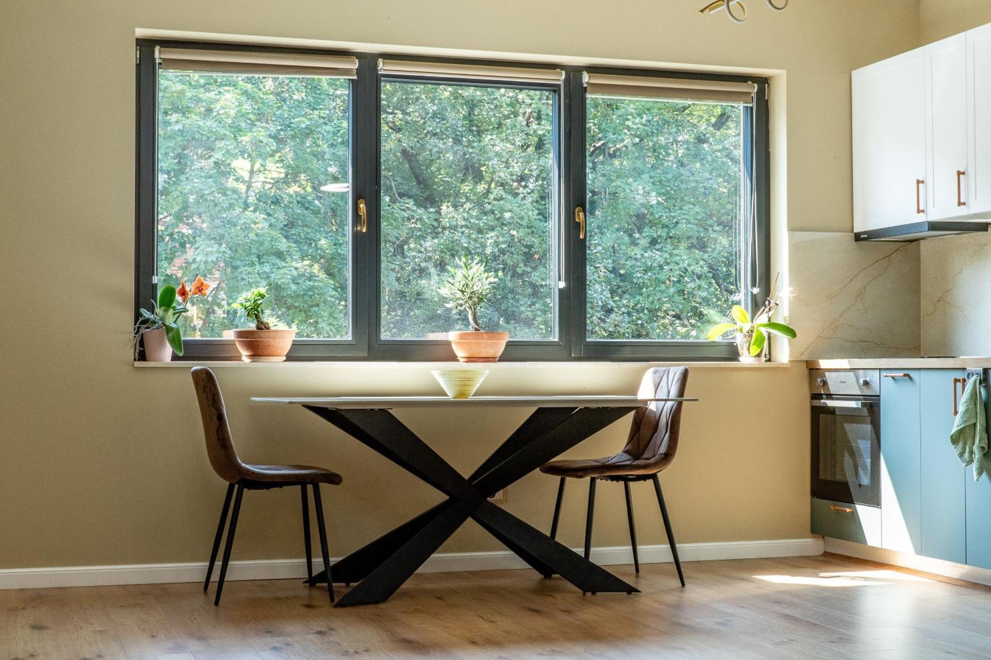 Ophir Apartment Central Kluż-Napoka Zewnętrze zdjęcie